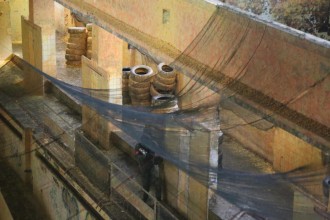 69cash_war_race_2016_250    